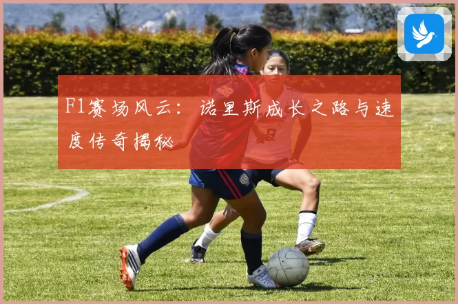 F1赛场风云：诺里斯成长之路与速度传奇揭秘