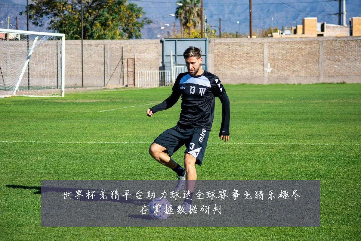 世界杯竞猜平台助力球迷全球赛事竞猜乐趣尽在掌握数据研判