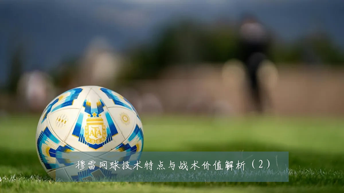 穆雷网球技术特点与战术价值解析(2)